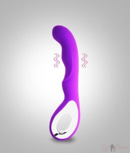 10 Multi-speed G-spot Waterproof Silicone Rechargeable Vibrator