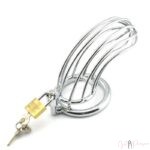 Steel Male Chastity Cock Cage Device For Men