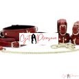Luxury Italian Tango Red 7 Piece  Leather Bondage Set