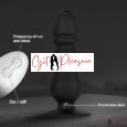 Dual Motor Beginners Prostate Vibrators with Wireless Remote