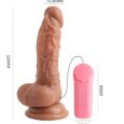 5 Inches Small Size Multi-Speed Vibrating Remote Control Realistic Silicone Penis Dildos