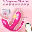 Long Distance APP Control Panty Pink 9 Frequency Vibration Mode Sex Toys India