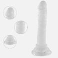 5.5 Inches Crystal Clear Anal Sex Mini Penis dildos For Couple