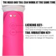 2in1 Magic Wand Breast Vaginal Licking Vibrator for Women