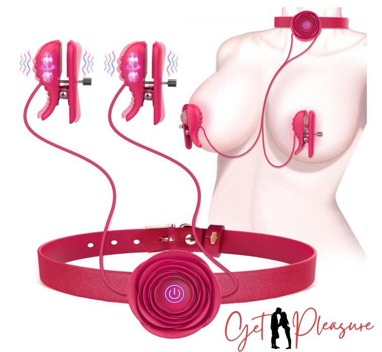 Vibrating Nipple Toys and Rose Collar BDSM India