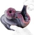 Beast Sex Zebra Animal Silicone Pocket Pussy India