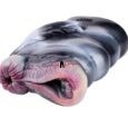 Beast Sex Zebra Animal Silicone Pocket Pussy India