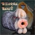 Monkey Silicone Pocket Pussy Male Masturbator India