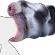 Beast Sex Zebra Animal Silicone Pocket Pussy India
