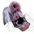 Beast Sex Zebra Animal Silicone Pocket Pussy India