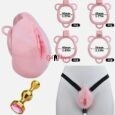 Pink Wearable Chastity Cage With Golden Anal Buttplug and Belt